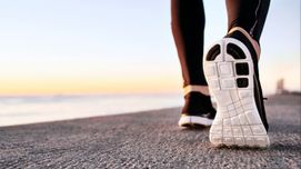 Imagem da Publicação Exercício e Estratificação de Risco Cardiovascular